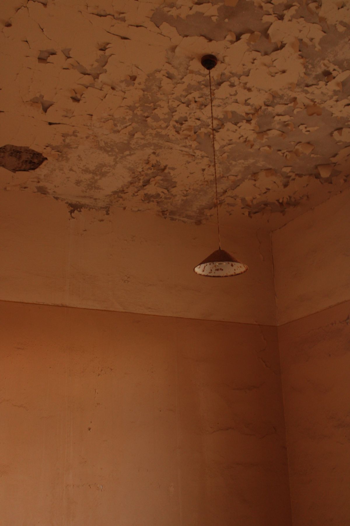 Before Ceiling Water Damage Repair — water damaged