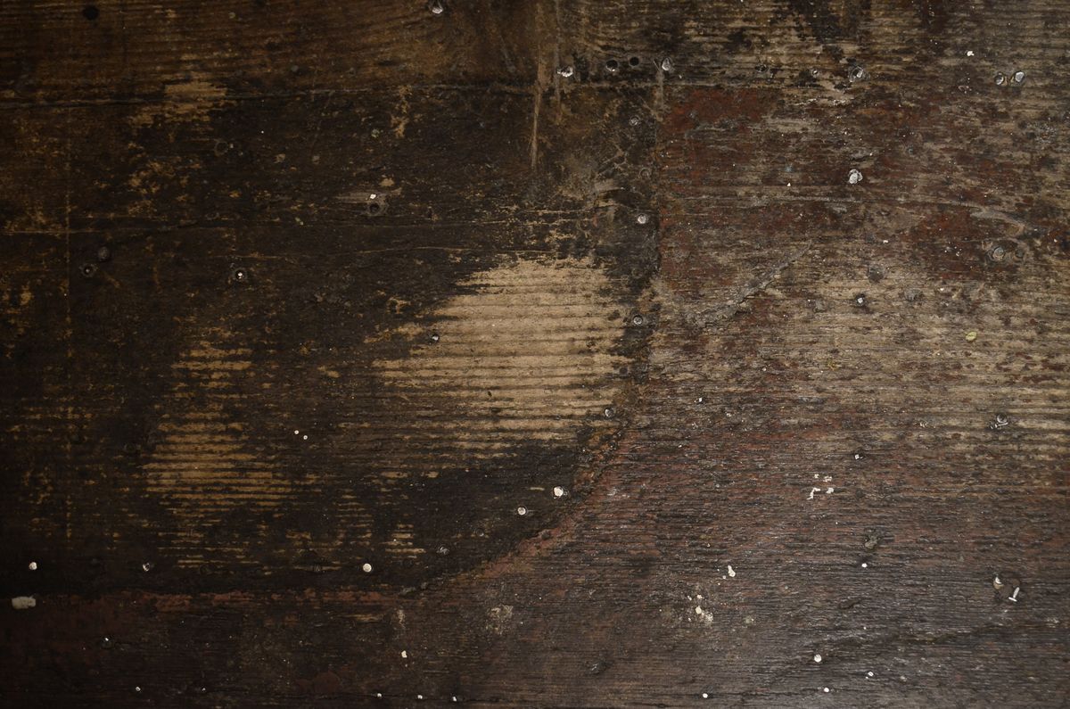 Before Hardwood Floor Water Damage Repair — water damaged
