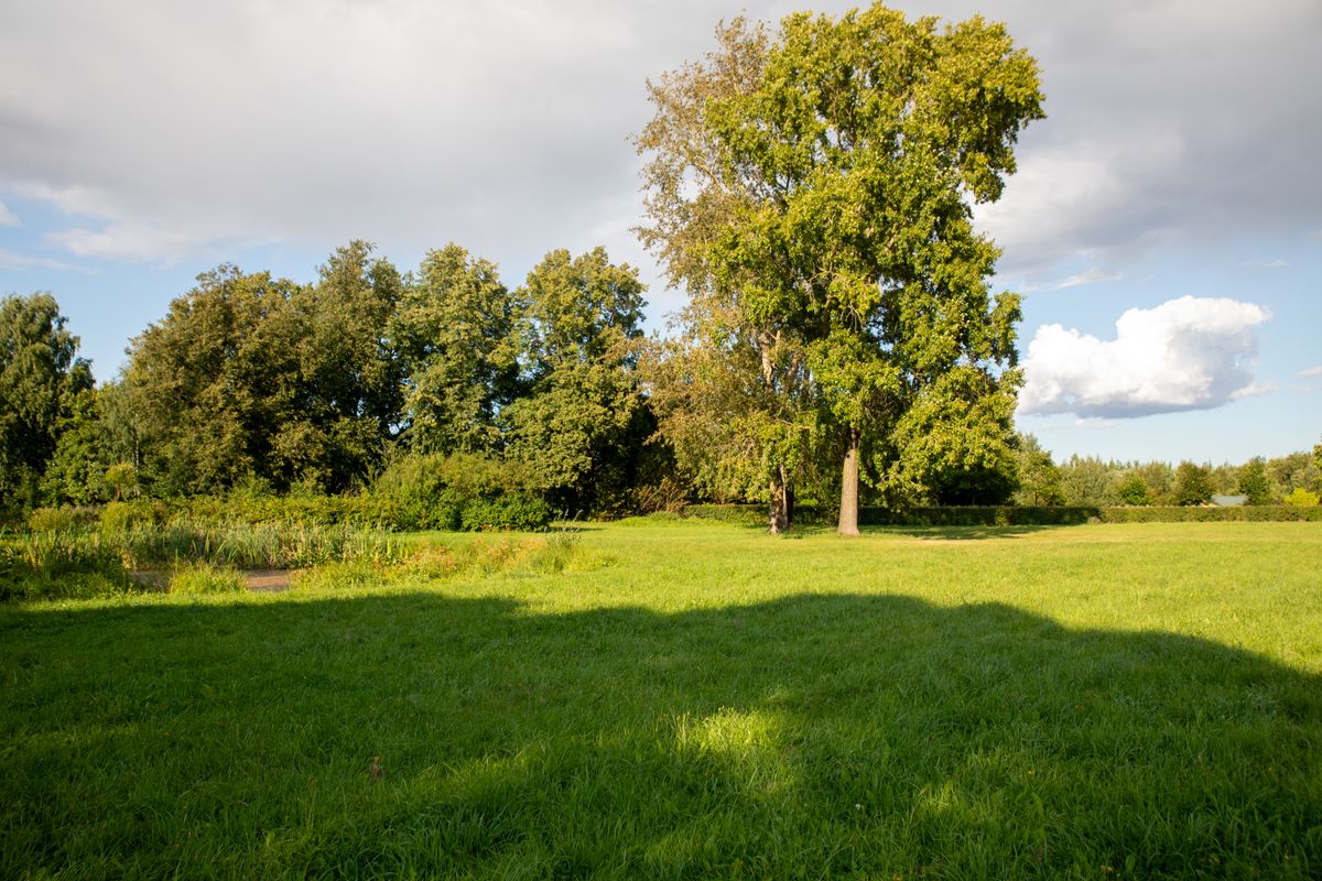 Battlefield Princeton NJ