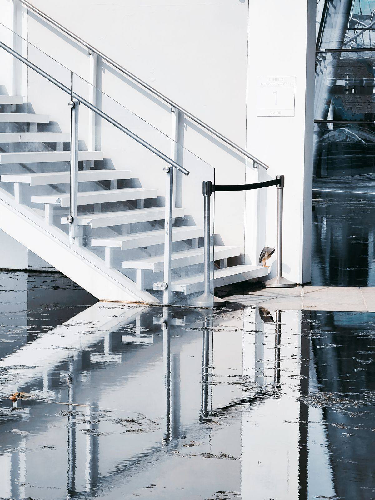 Basement Flood Cleanup Princeton NJ