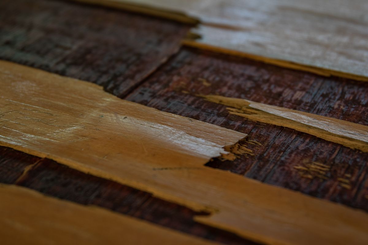 Hardwood Floor Water Damage Repair in Princeton NJ
